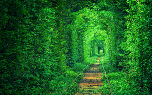 795094 (a): :1920x1200